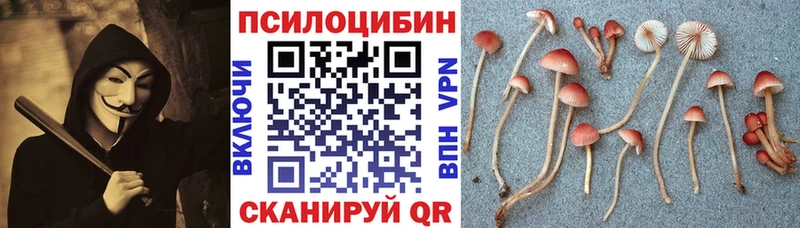 Галлюциногенные грибы Psilocybine cubensis  Аркадак 